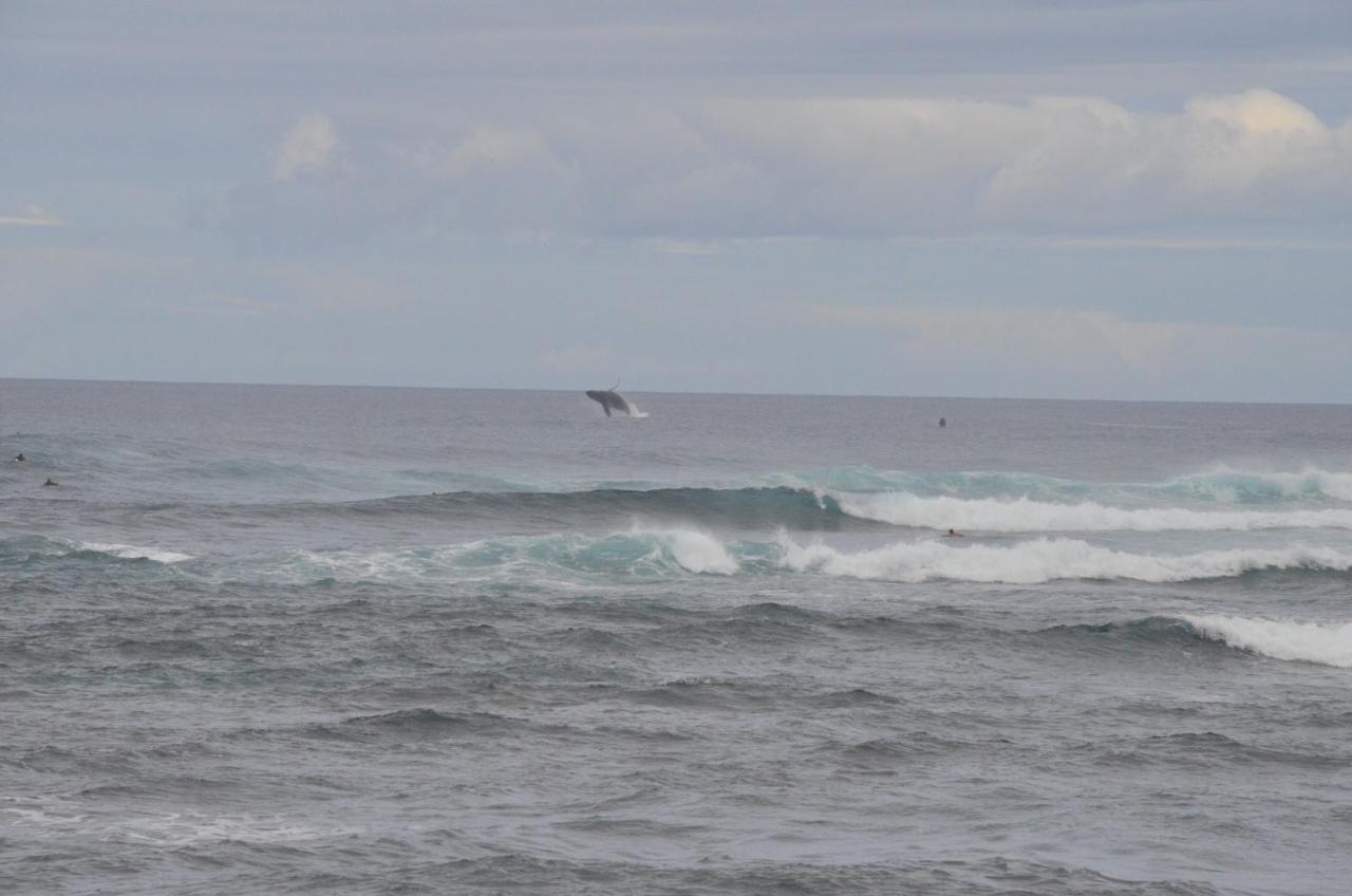 Mokule'Ia Beach Houses At Owen'S Retreat Waialua Luaran gambar